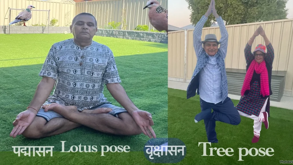 what do you mean by yoga