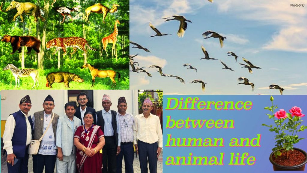 difference-between-human-and-animal-life-best-way-to-happy-life-knsapkota.com