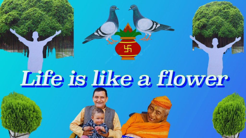 life-is-like-a-flower-life-experiance-knsapkota.com