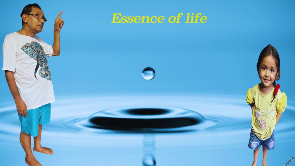 essence-of-life-means-value-of-life-knsapkota.com