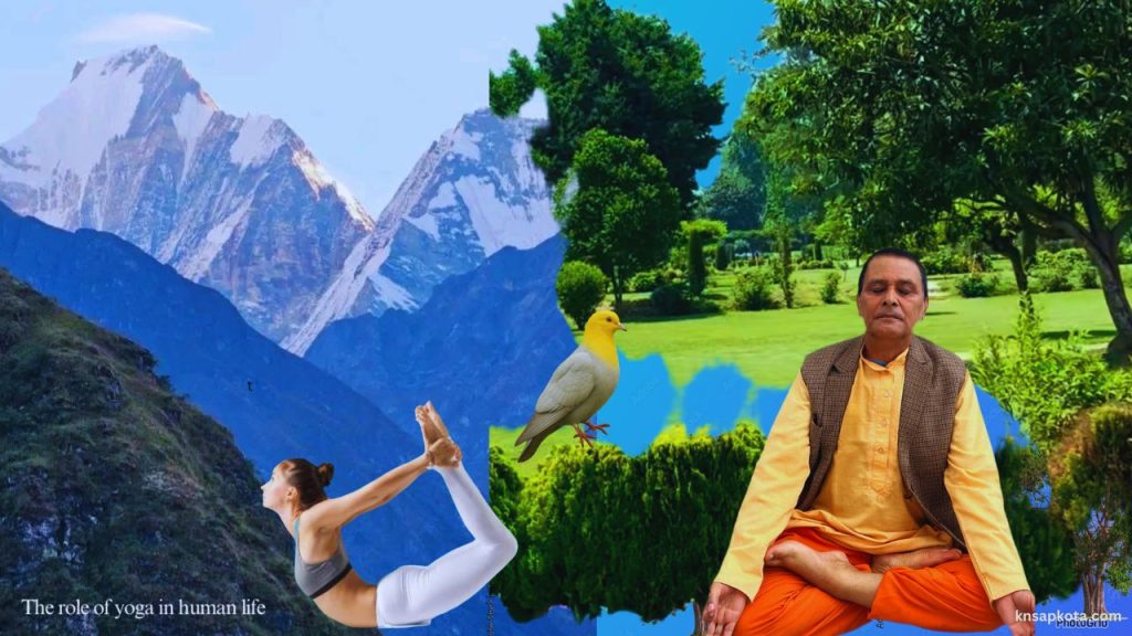 The-role-of-yoga-in-human-life-yoga-meditation-and-peace-knsapkota.com