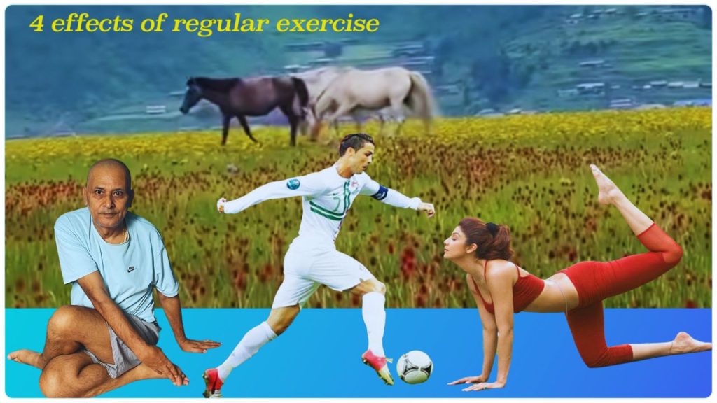 4effects-of-regular-exercise-yoga- band- physical- exerciseyoga-and-meditation-knsapkota