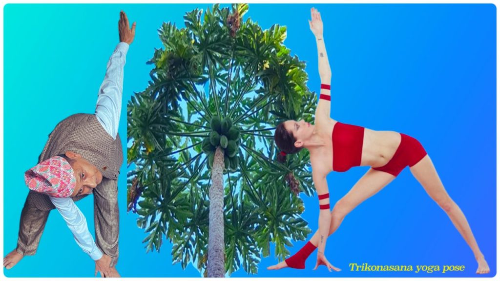 trikonasana-yoga-pose-yoga-&-meditation-knsapkota.com