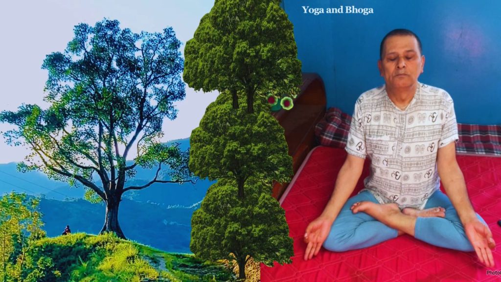 yoga-and-bhoga-yoga-&-meditation-knsapkota.com